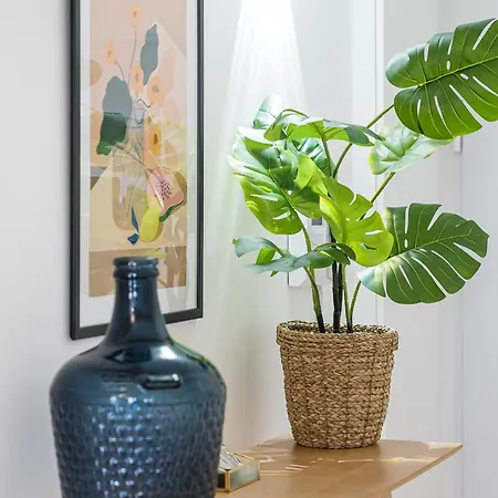 Sunshine Luxury House Urban Retreat Downtown